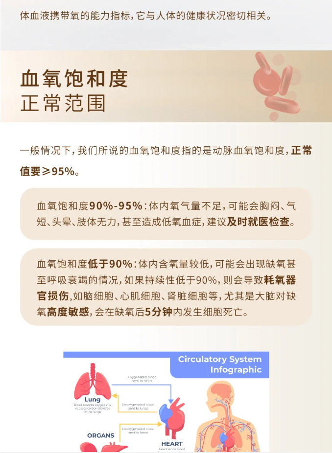 1730774843100.png